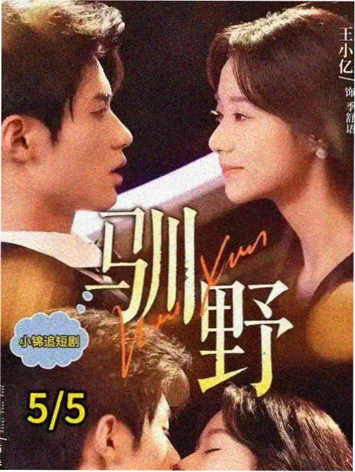 长安夜行录剧集全集BT种子下载